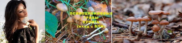 марки lsd Абинск