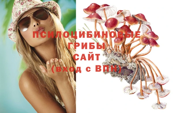 бошки Абдулино