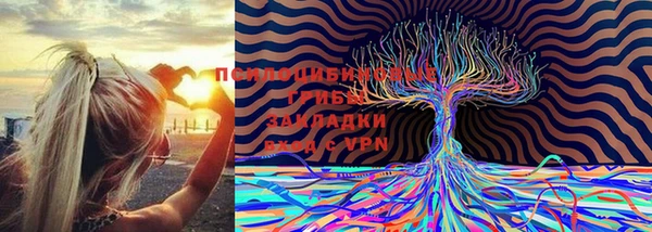 бошки Абдулино