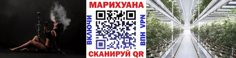 МЕГА tor  Болохово  Конопля Amnesia  наркошоп 
